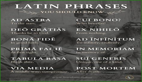 A Profile Of A Latin Beauty